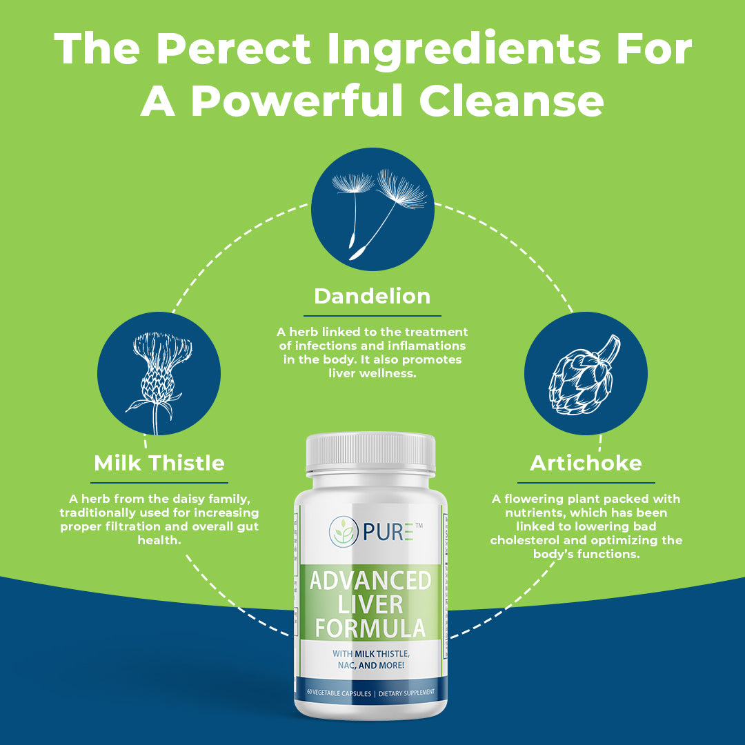 Infographic for PURE® Advanced Liver Formula dietary supplement, featuring a white bottle with green and blue labeling. The design highlights three natural ingredients—Milk Thistle, Dandelion, and Artichoke—each represented with an icon and description. Benefits include liver wellness, gut health, and cholesterol support. The background is green and blue with the headline: “The Perfect Ingredients for a Powerful Cleanse.”