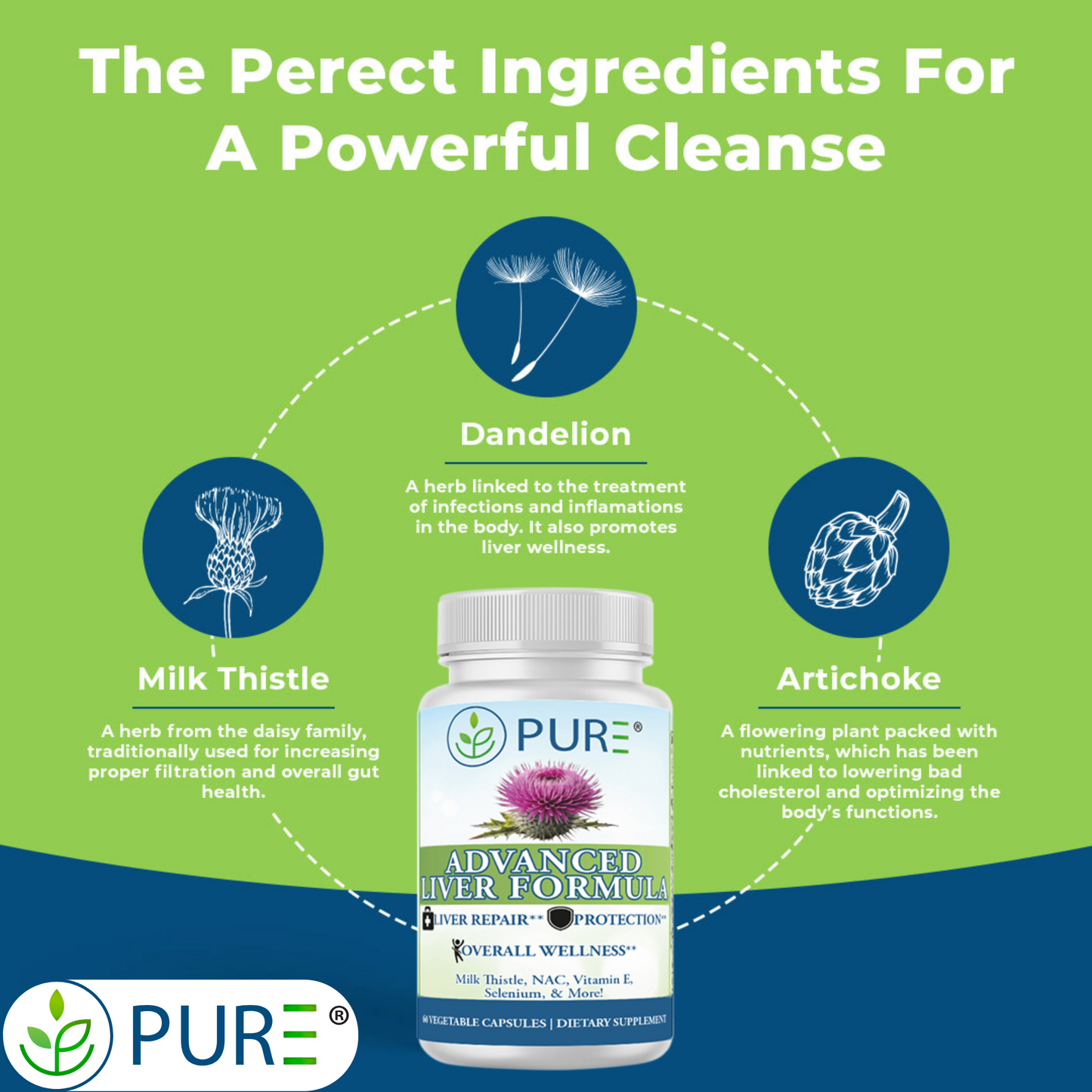 Advanced Liver Formula | 60 Capsules