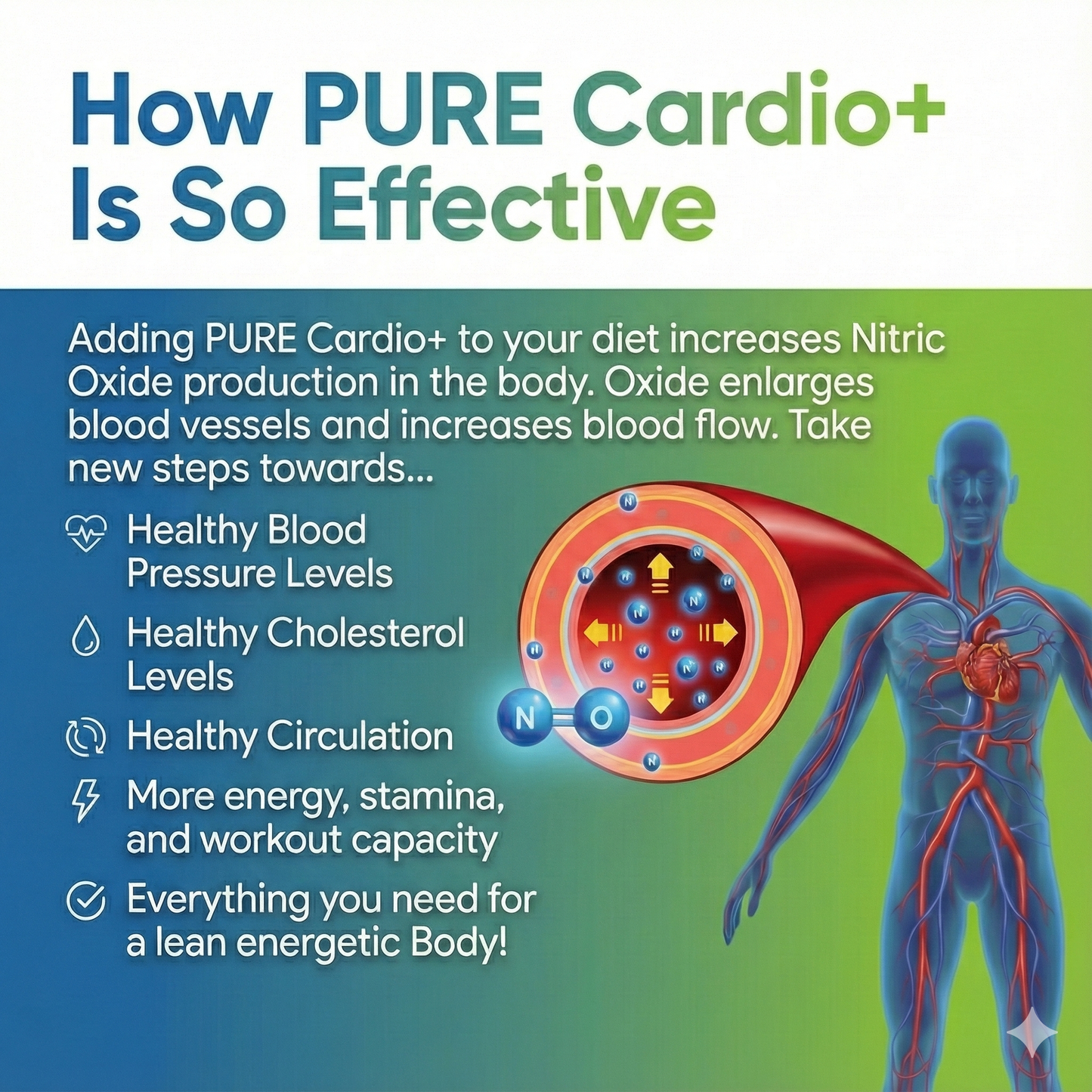 Cardio+ | Mango Powder