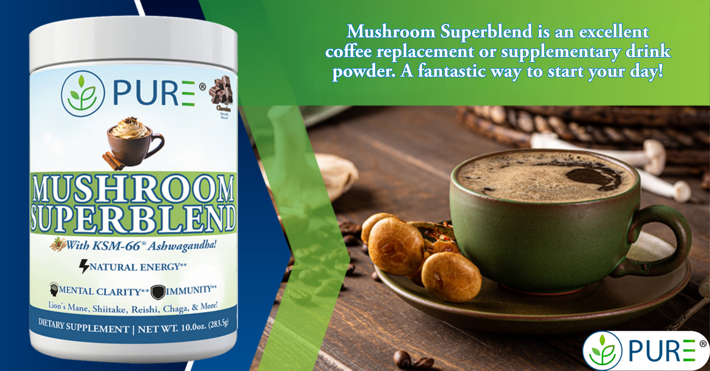Mushroom Superblend | Chocolate