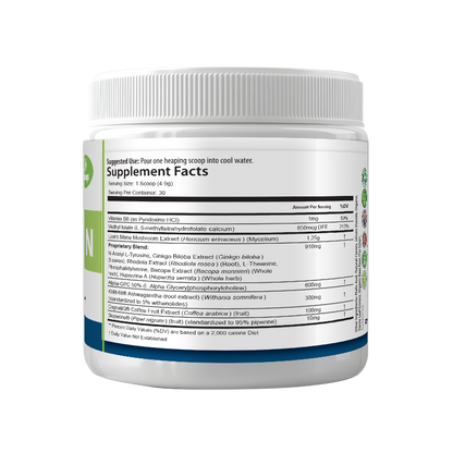 Healthy Brain | Lion’s Mane, Alpha-GPC, Focus, Memory, 30 Servings, USA!