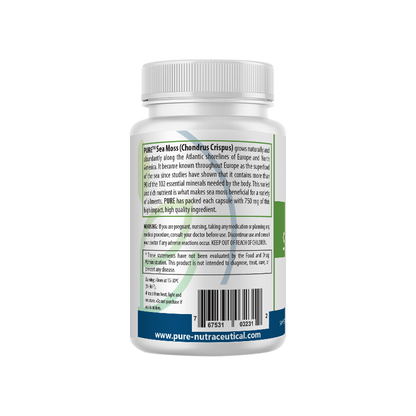 Irish Sea Moss | (750 mg, 60 day supply!) 100% Organic Wildcrafted Sea Moss!