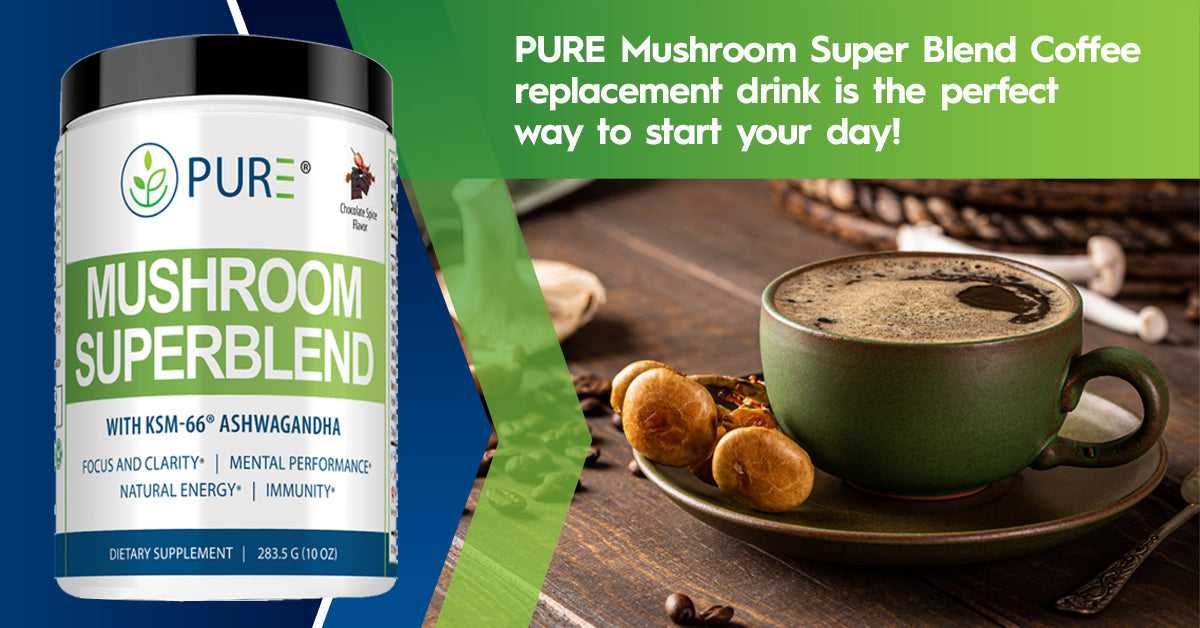 Mushroom Superblend | Lion’s Mane, Energy, Focus, Chocolate Spice, 30 Serving