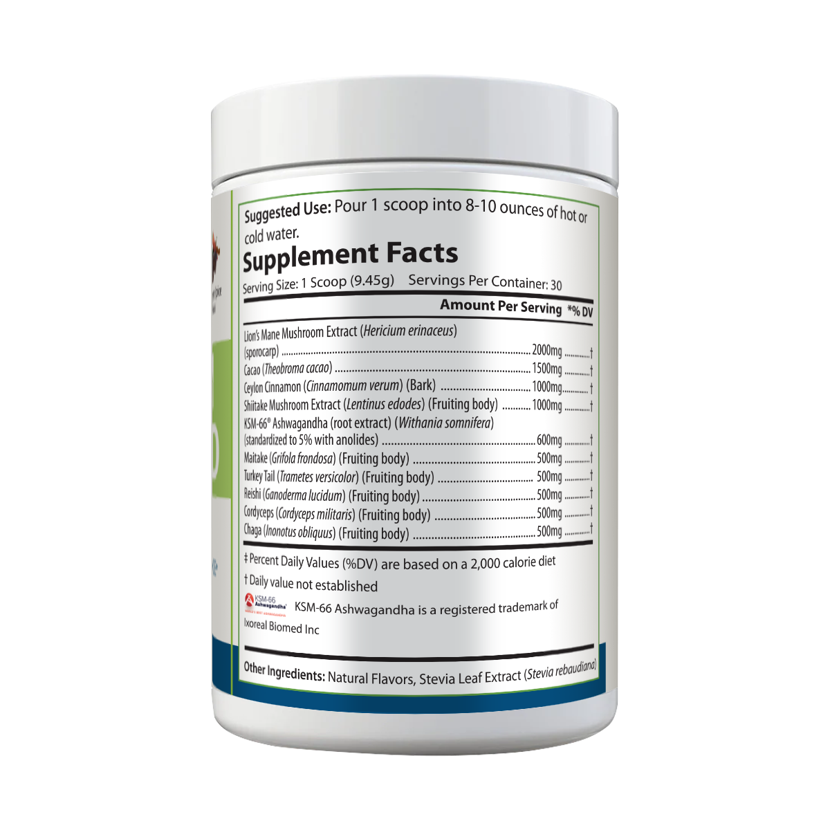 Mushroom Superblend | Lion’s Mane, Energy, Focus, Chocolate Spice, 30 Serving