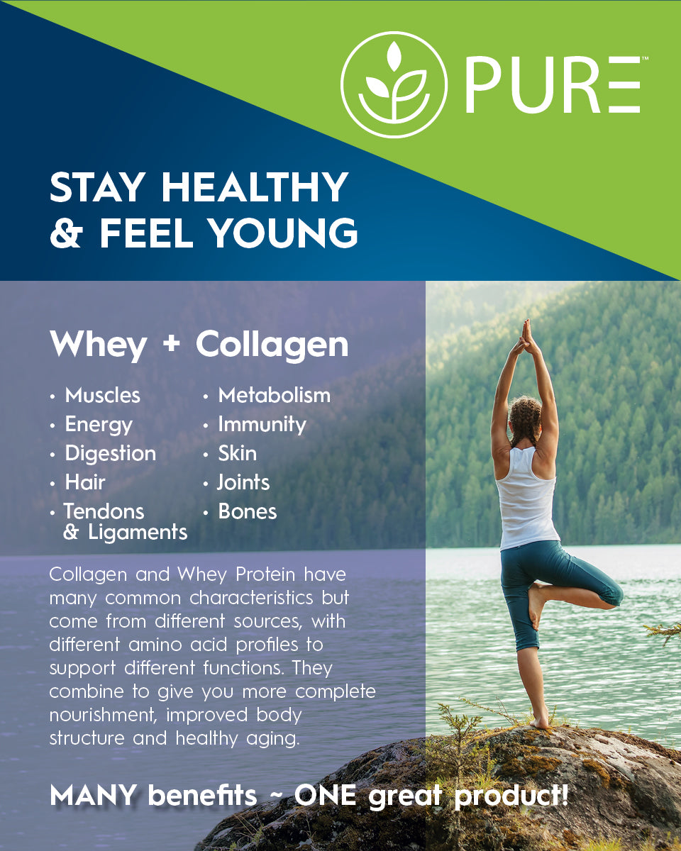 PURE® Whey + Collagen Protein Powder | 848g, 27g Protein, 28 Servings, Vanilla Bean and Blueberry Pancake, Muscle Recovery, Skin & Joints, USA-Made!