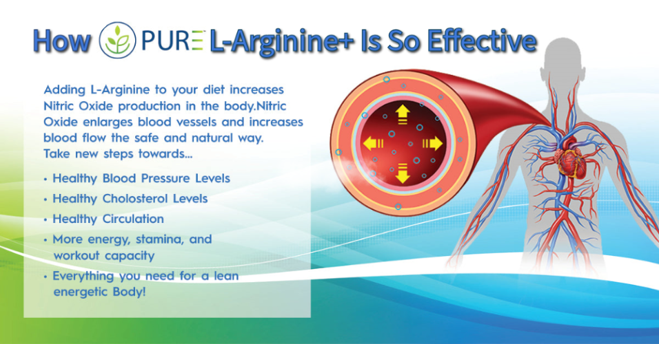 L-Arginine+ | Complete Cardiovascular Support | Berry, Cherry, Mango, Lemon Lime | Improve Circulation Antioxidants Energy & Stamina