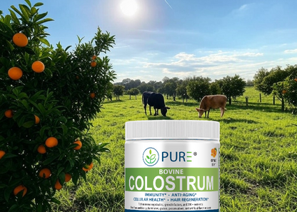 Bovine Colostrum | Immune, Gut Health, 90 Servings, 171g, USA!